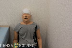 В Пензе за сутки черепно-мозговую травму получили 17 человек