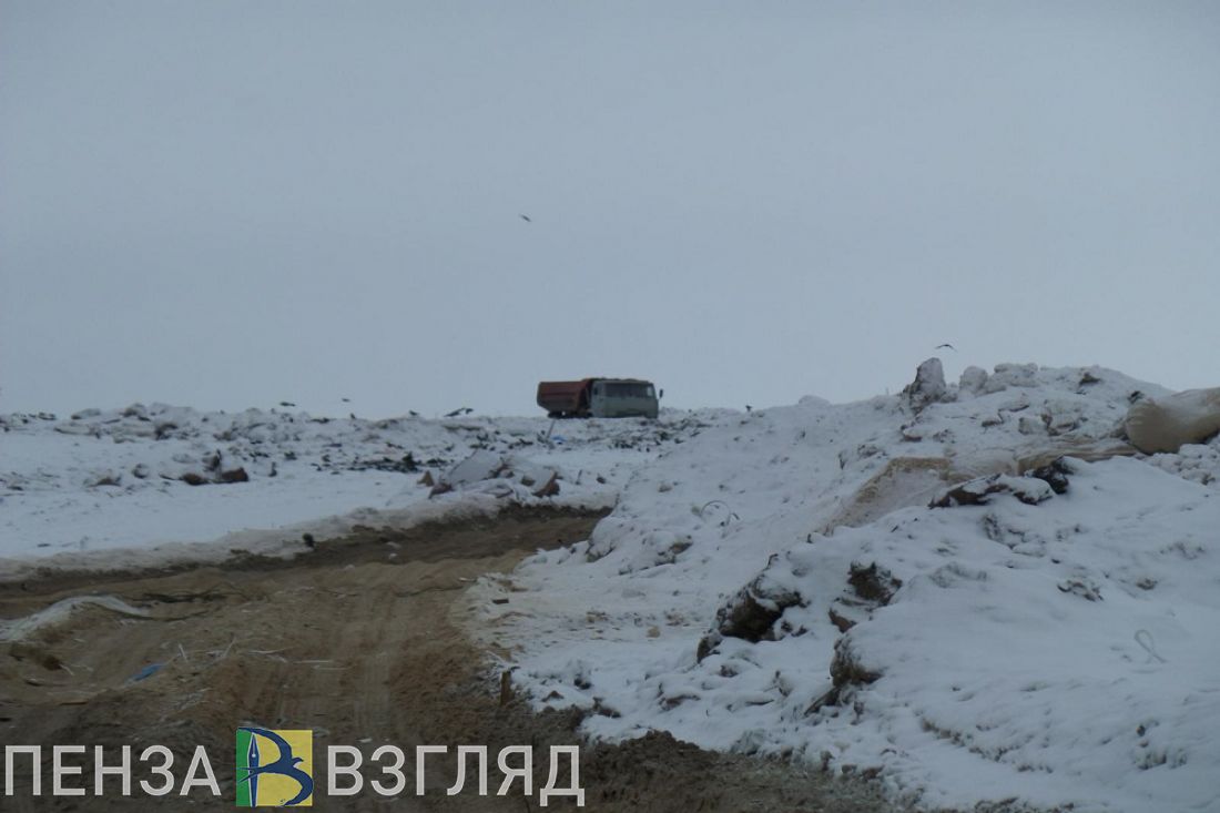 Мусороперерабатывающий завод в Пензенской области: влияние на экологию и  тариф для населения