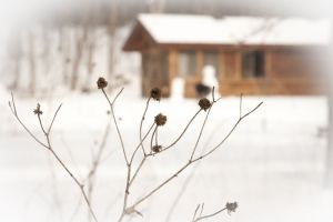 В Мокшанском районе житель Каменки украл лестницу у пензячки