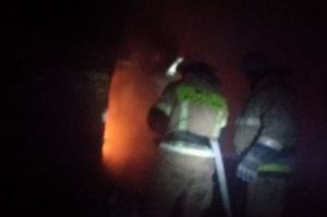 В ночном пожаре под Пензой погибли два человека