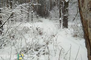 Пензенцев предупреждают о сильном снеге и заносах на дорогах