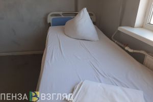 В Пензе за сутки 12 человек получили черепно-мозговую травму