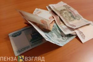 В Пензе мошенник оставил без крупной суммы мать и дочь