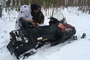 Семь пензенских охотников нарушили закон