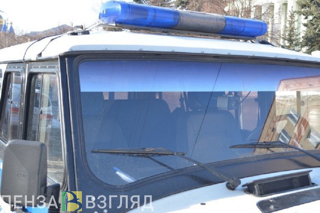 Пензенская полиция разыскивает мужчину, подозреваемого в краже