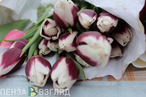 Стало известно, где в Пензе можно купить цветы к 8 Марта