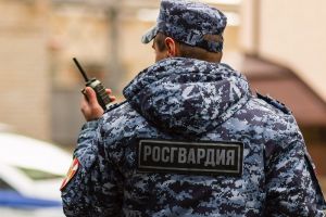 Ночью в Пензе росгвардейцы преследовали угонщика