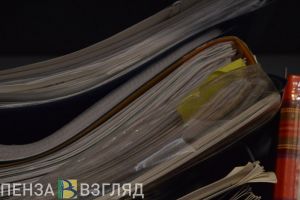В Пензенской области на нарушителей, не оплативших штрафы, завели дела
