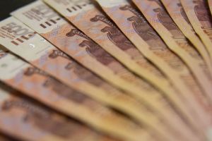 В Кузнецком районе мать пятерых детей обокрала больную пенсионерку