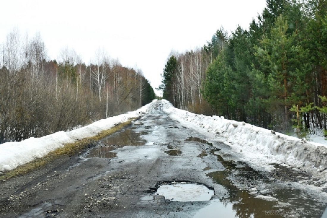 отдых на светлой поляне пенза