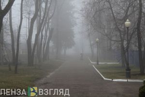 В Пензе подготовят пятилетний план развития парка имени В.Г. Белинского