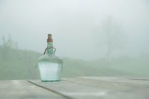 В Пензенской области у самарской пенсионерки украли 20 бутылок водки