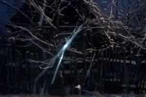 Пензенский лыжник не смог самостоятельно выйти из леса