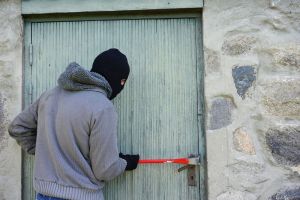 В Пензе полицейские раскрыли кражу со взломом