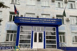 СК проводит проверку по факту смерти двух человек при пожаре в Городищенском районе