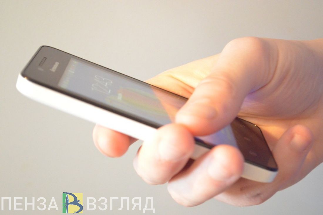 В Сердобском районе гость поссорился с хозяином и ограбил его