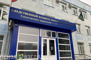 СК проводит проверку по факту травмирования девушки в Засечном