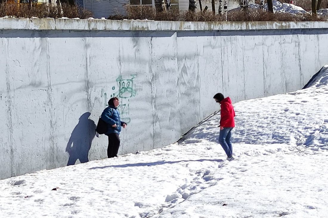 В Пензе два малолетних хулигана нарисовали зеленую собаку на серой стене