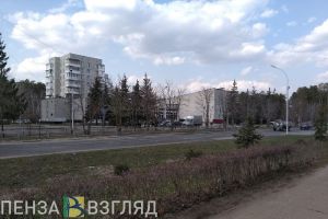 «Минное поле». Зареченцы жалуются на фекалии по всему городу