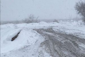 В Пензе бульдозериста, который переехал человека, освободили от наказания