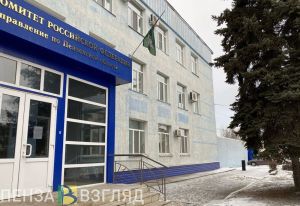 В Пензе завели уголовное дело по факту причинения ножевого ранения подростку
