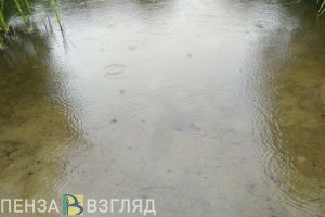 Тело 20-летнего пензенца нашли в воде