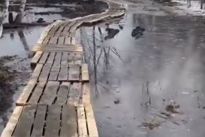 «Как в кино про войну». В Пензе показали кошмарную дорогу в детский сад. Видео