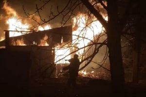 «В доме была пенсионерка». Ночью в Бессоновке произошел пожар. Видео