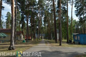 Как пройдет летний оздоровительный сезон в Пензенской области?
