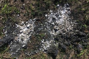 Житель Пензенской области поджег односельчанина в безлюдном месте