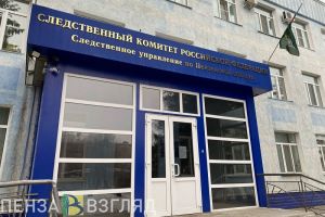 Подросток из Каменки решил заработать, сбывая наркотики