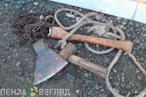 Житель Пензенской области во время ссоры с соседом схватился за топор