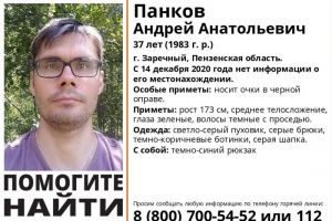 «Матери важно знать». Жители Заречного готовятся выйти на поиски Андрея Панкова
