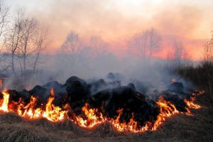 «Происходит вакханалия». В Пензенской области каждый день регистрируются десятки пожаров