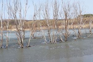 Появились фотографии с места гибели рыбака в Каменском районе
