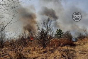 Из-за серьезного пожара под Пензой эвакуировали дачников