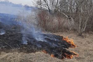 В селах под Пензой огонь охватил более трех гектаров травы