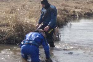 Утонувший рыбак, полуголый мужчина и эвакуация дачников: новости Пензенской области за 16 апреля