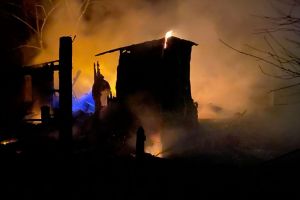 В пензенском МЧС сообщили о пострадавших при пожаре в Мокшанском районе