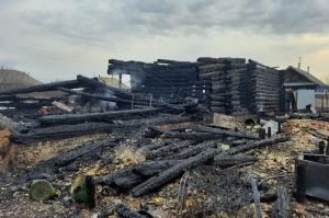 Появились фото с места пожара, который унес жизни трех человек в Пензенской области