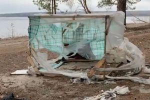 «Как после ядерного удара». Пензенцев поразил берег Сурского водохранилища. Видео