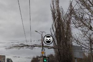 Мощная буря, послание президента и задержание депутата: новости Пензенской области за 21 апреля