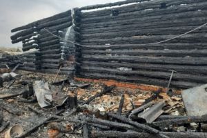 По факту гибели трех человек при пожаре в Пензенской области возбудили уголовное дело. Видео