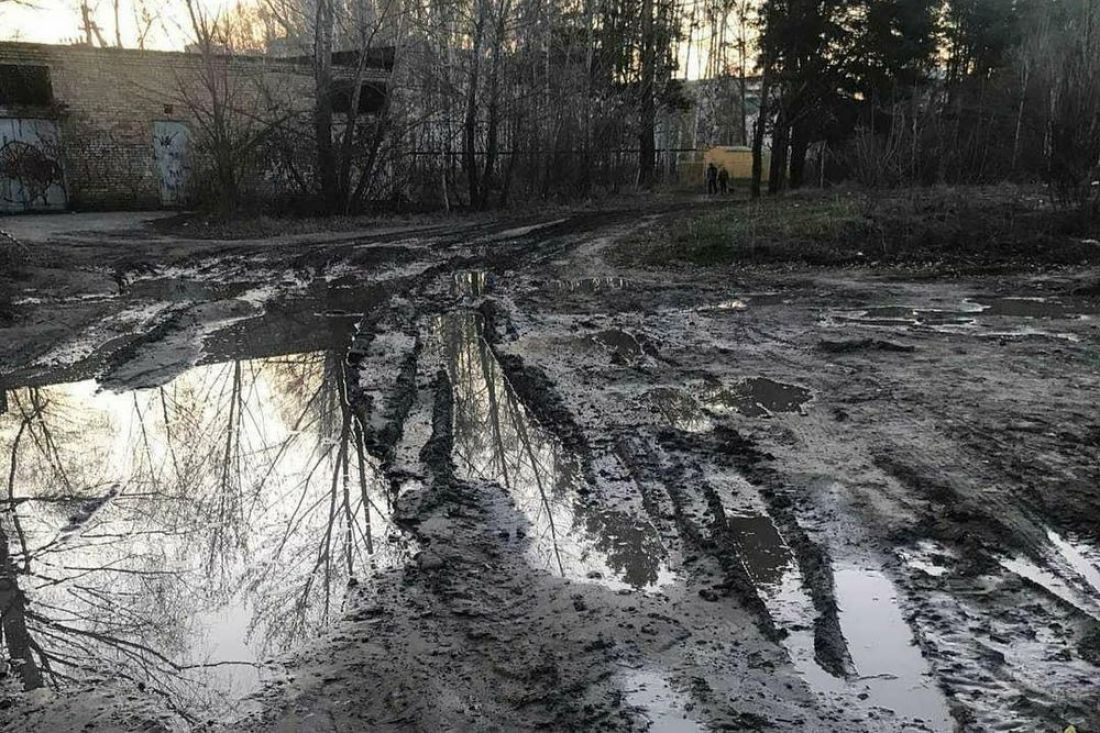 Стыд и позор». Пензенцы показали «грязный» вход в сквер «Семейный». Фото