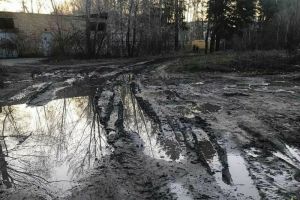 «Стыд и позор». Пензенцы показали «грязный» вход в сквер «Семейный». Фото