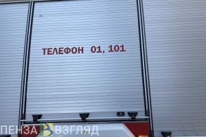 В пензенском СНТ имени Мичурина сгорел садовый домик