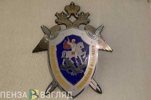 В Пензенской области совершено жестокое тройное убийство