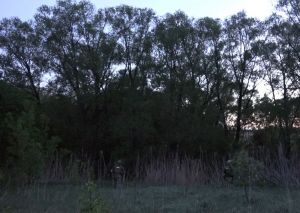 Появилось видео с места ликвидации малосердобинского стрелка