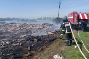Под Пензой на площади 300 квадратных метров вспыхнули трава и мусор