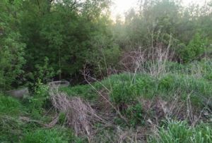В Пензенской области нашли пакет с телом младенца